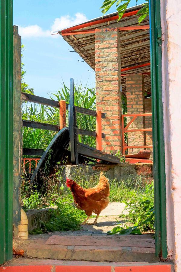 La Hacienda Hostel San Gil Luaran gambar