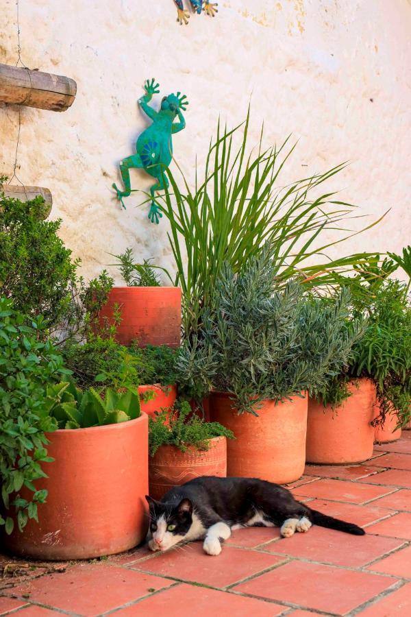La Hacienda Hostel San Gil Luaran gambar